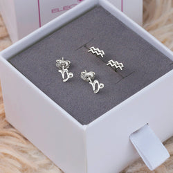 Aquarius Stud Earrings Sterling Silver - Zodiac Constellation Earrings Stud Earrings